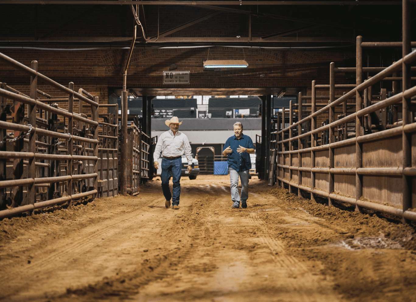 Using blockchain to track beef from ranch to table